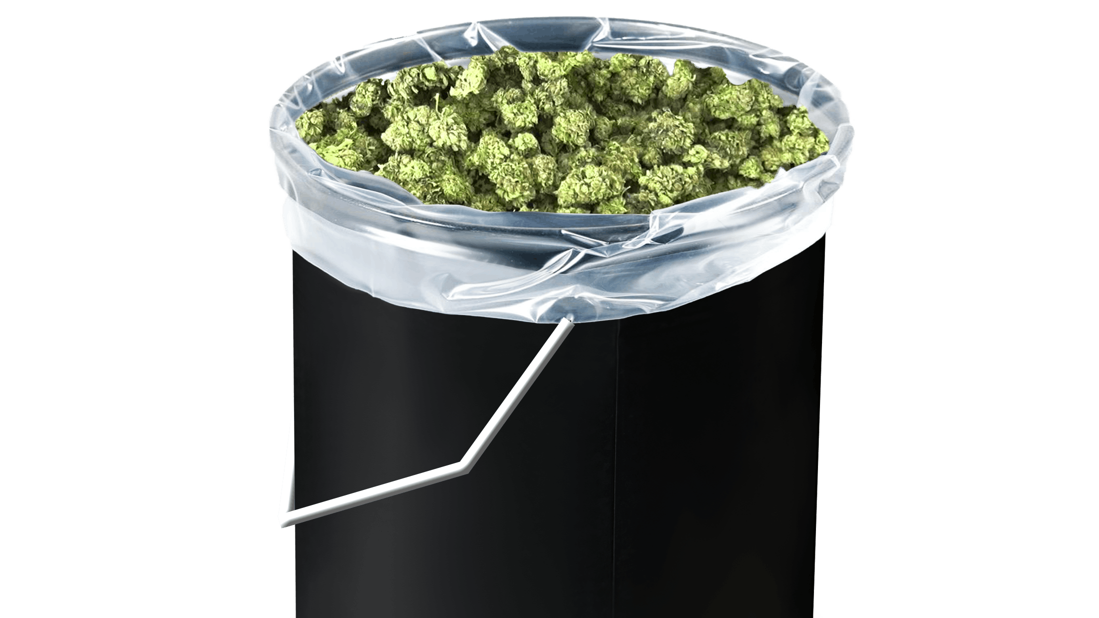 Grove Bags A Breath Of Fresh Bud Leafly